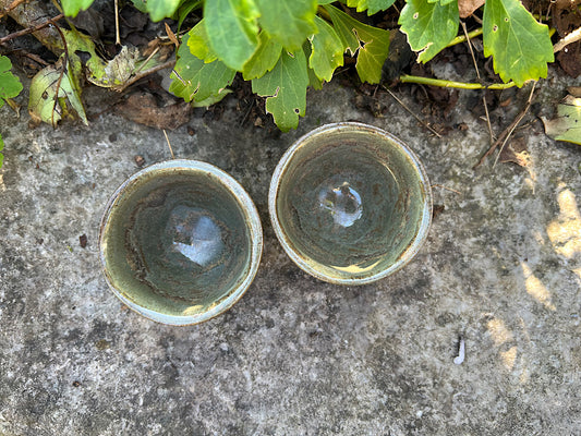 Espresso Cup - Lichen