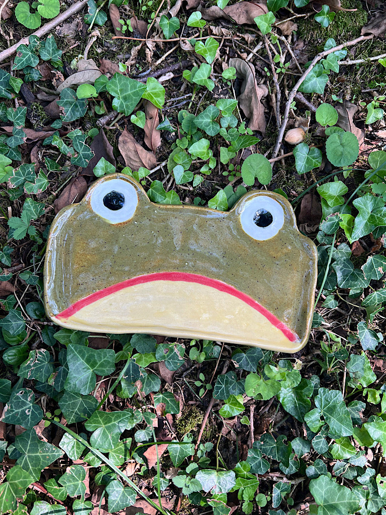 Frog Glasses Tray