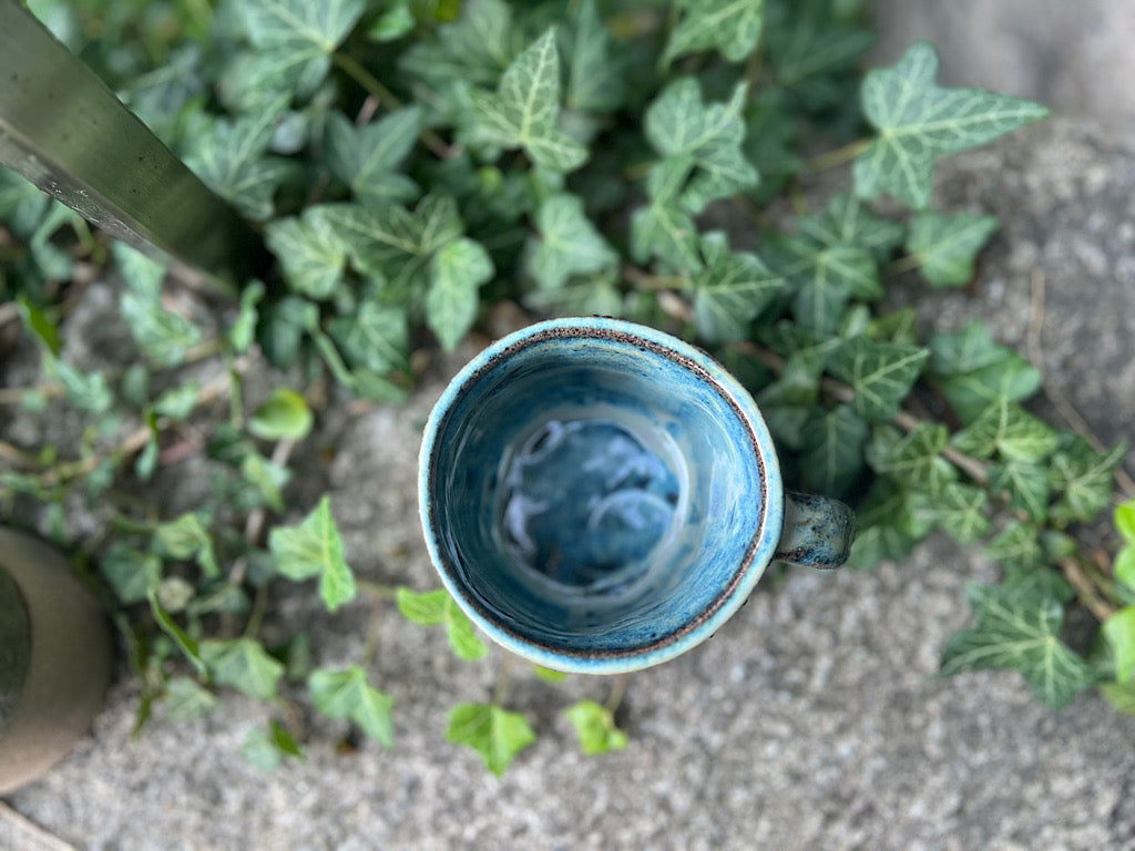 Lakeshore Coffee Mug