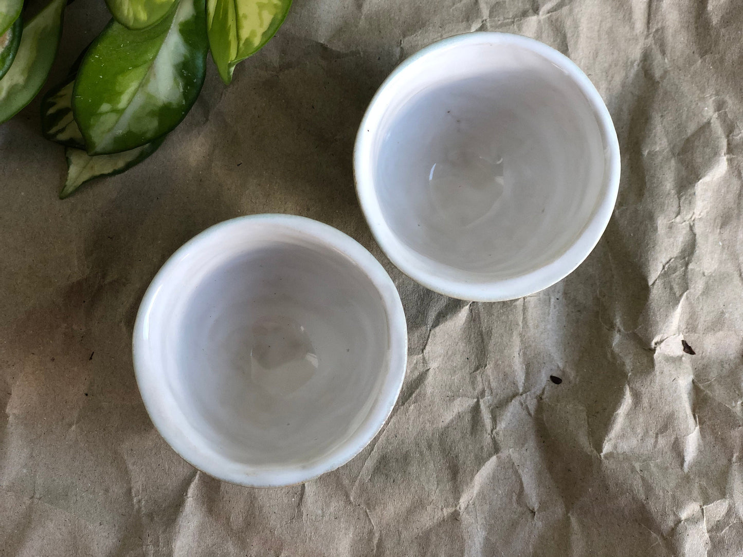 Botanical espresso cup