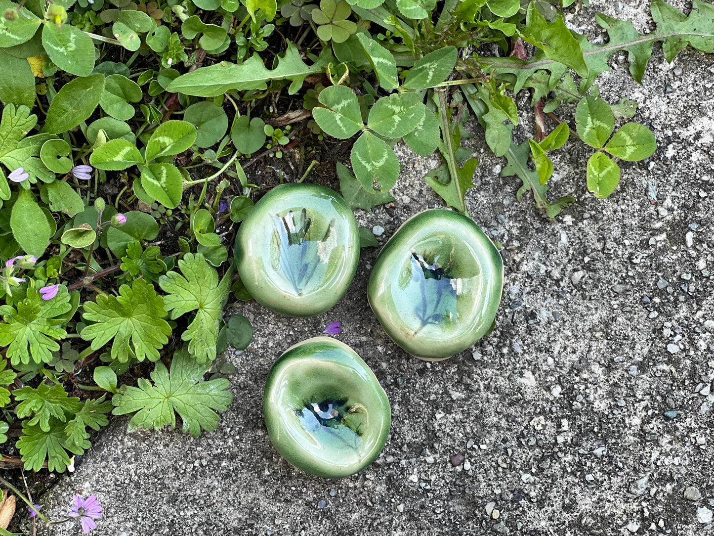Botanical Worry Stone