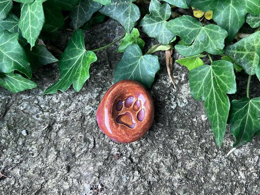 Paw Worry Stone