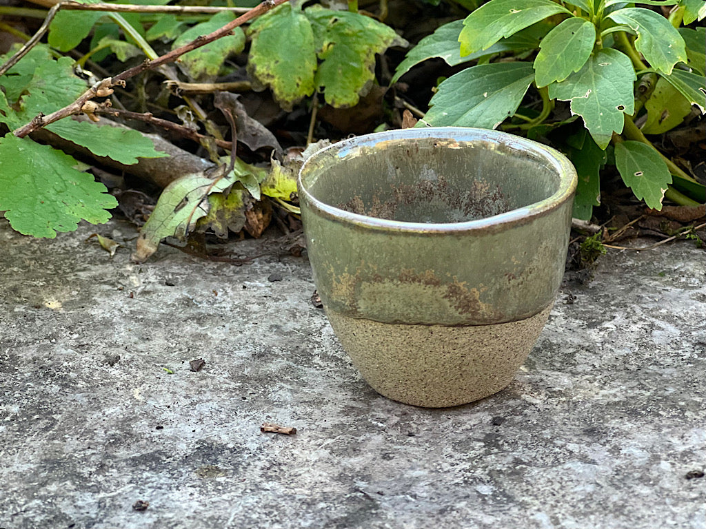 Espresso Cup - Lichen