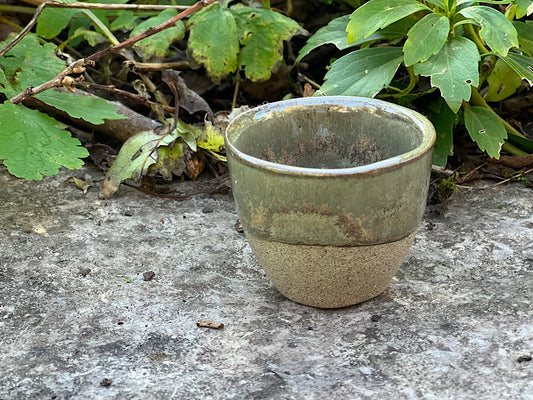 Espresso Cup - Lichen