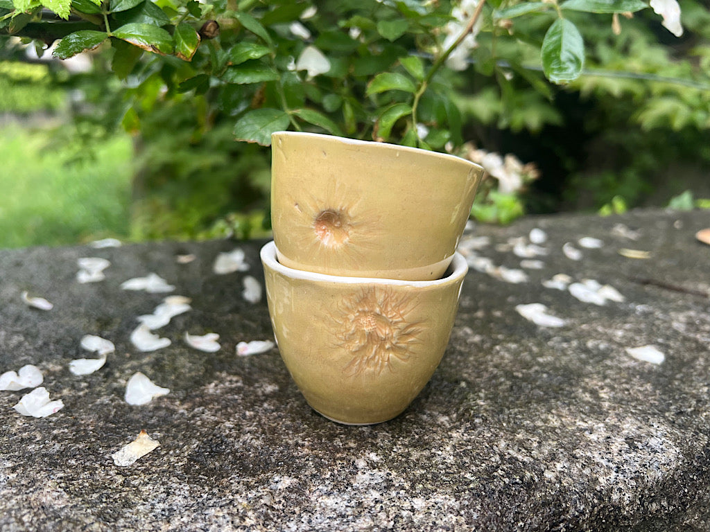 Espresso Cups Botanical set of 2