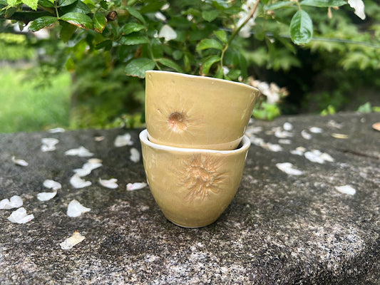 Handmade Ceramic Espresso Cups Botanical set of 2