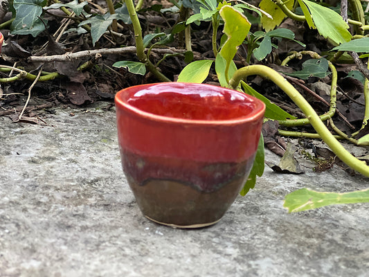 Espresso Cup - Rowan