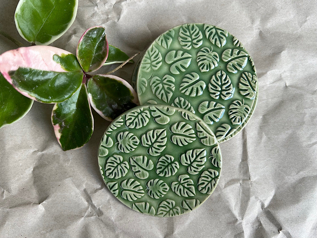 Monstera coasters