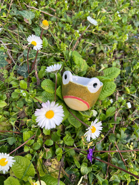 Frog Espresso Cup