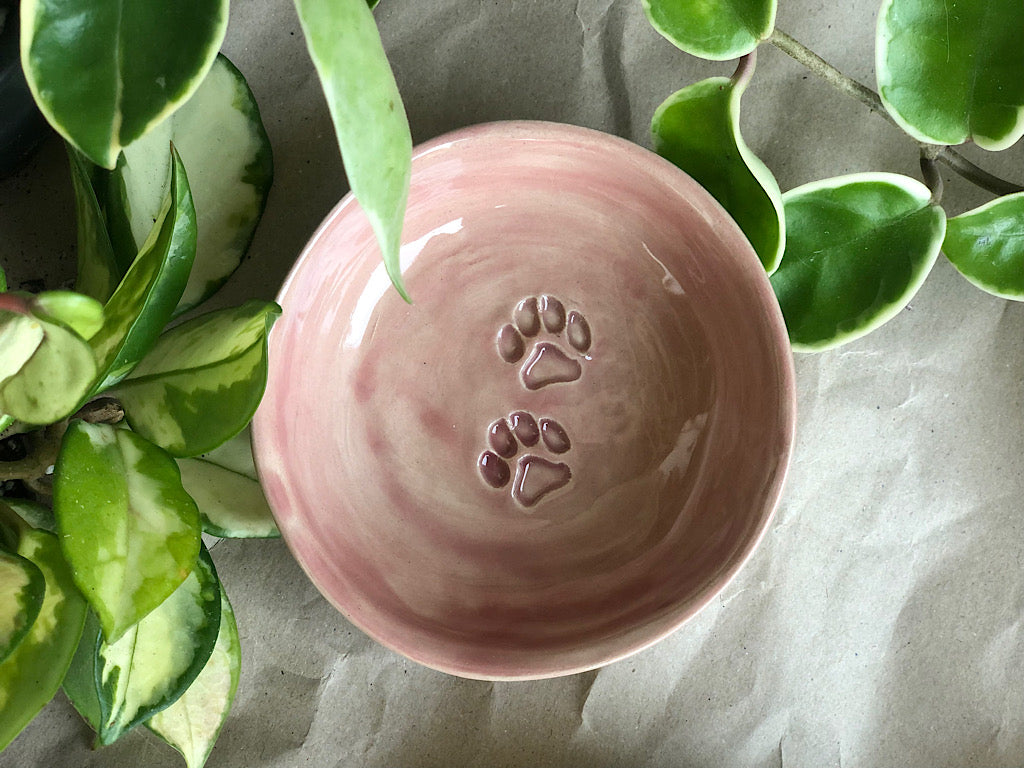 Cat bowl - preorder