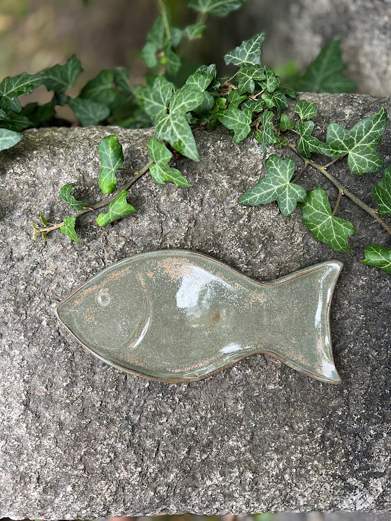 Fish tray Lichen
